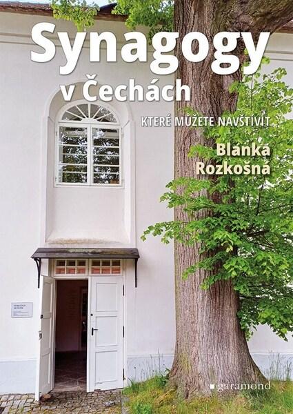 Synagogy v Čechách - 9788074077579