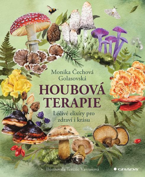 Houbová terapie - 9788027159420