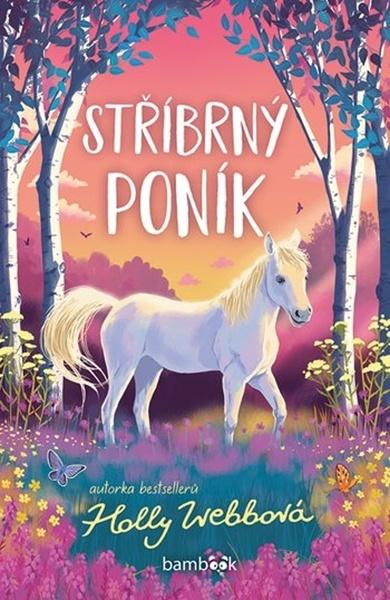 Stříbrný poník - 9788027156351