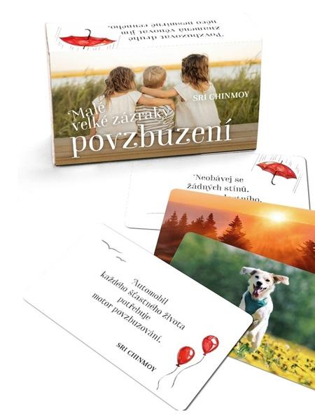 Malé velké zázraky povzbuzení - 9788088324492