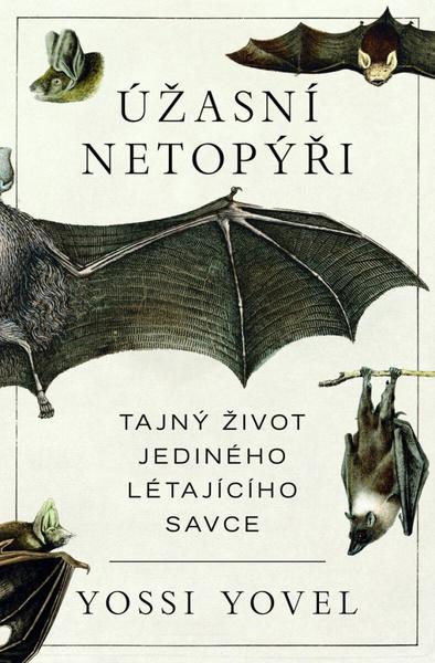 Úžasní netopýři - 9788028405458